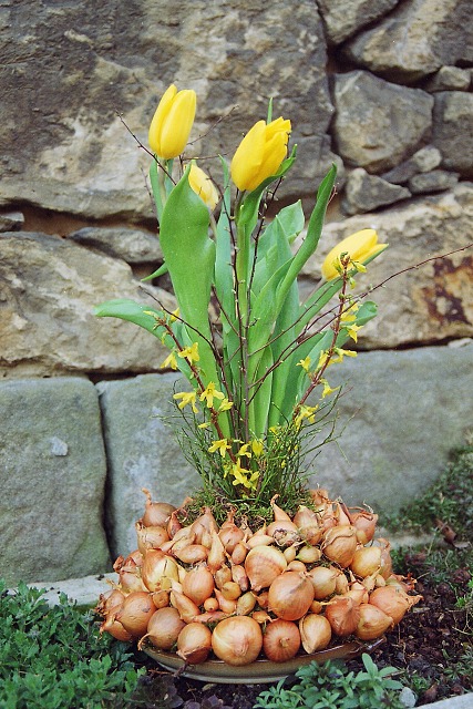 Fotoalbum 2008