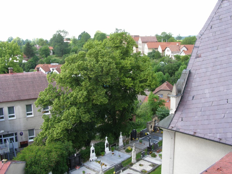 Fotoalbum 2008
