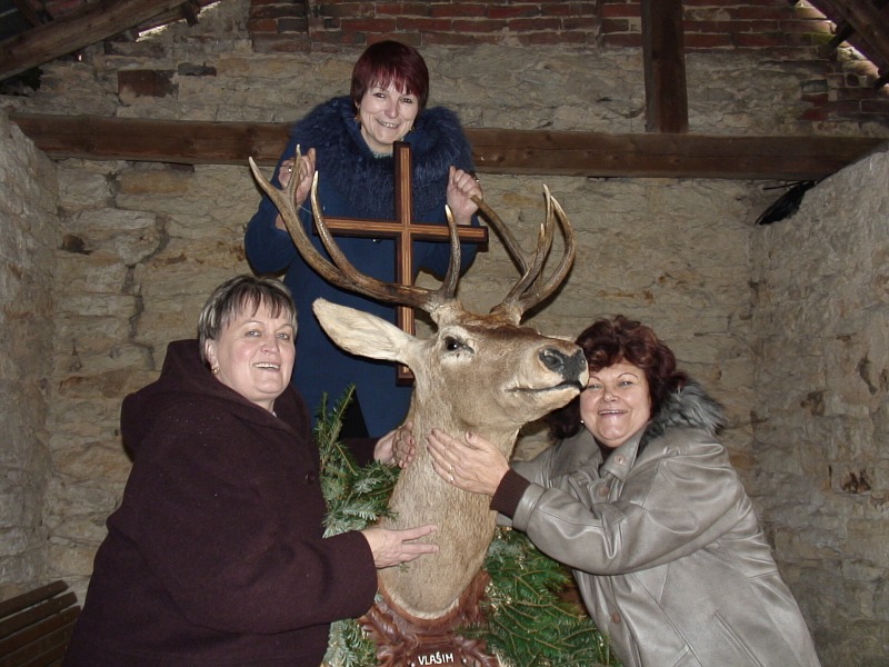 Fotoalbum 2008