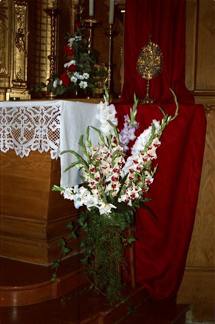 Fotoalbum 2008