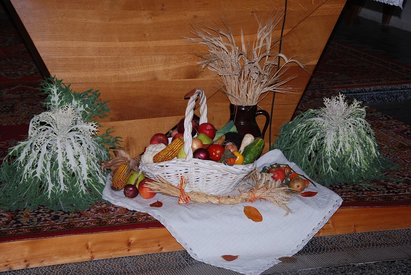 Fotoalbum 2011